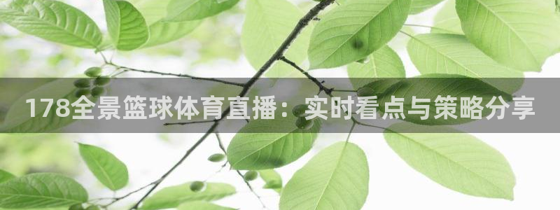 178全景篮球体育直播：实时看点与策略分享