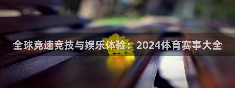 全球竞速竞技与娱乐体验：2024体育赛事大全