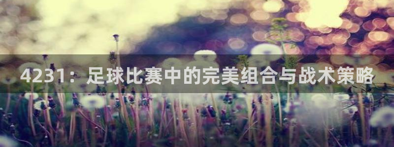 4231：足球比赛中的完美组合与战术策略