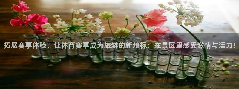 拓展赛事体验，让体育赛事成为旅游的新地标：在景区里感受激情与活力!