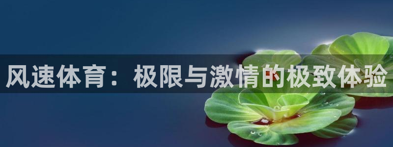 风速体育：极限与激情的极致体验