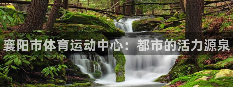 襄阳市体育运动中心：都市的活力源泉