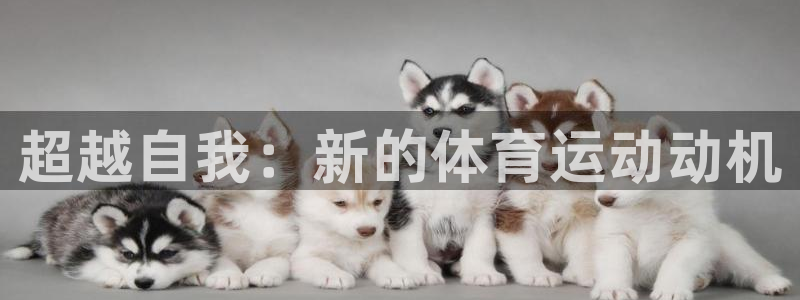 超越自我：新的体育运动动机