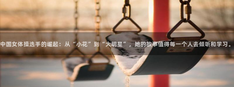 中国女体操选手的崛起：从“小花”到“大明星”，她的故事值得每一个人去倾听和学习。