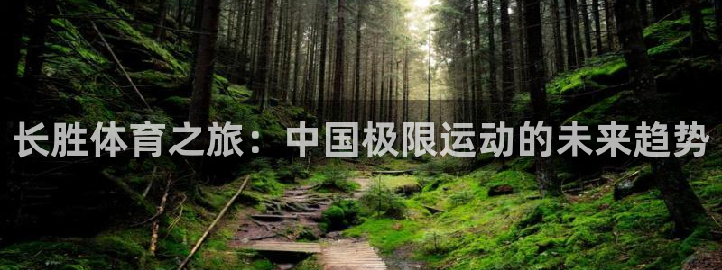 长胜体育之旅：中国极限运动的未来趋势