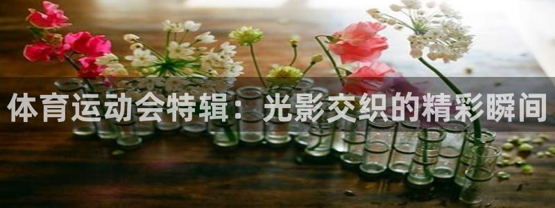 体育运动会特辑：光影交织的精彩瞬间