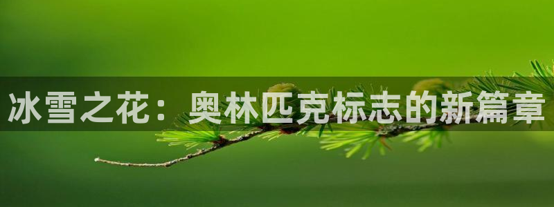 冰雪之花：奥林匹克标志的新篇章