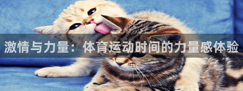 激情与力量：体育运动时间的力量感体验