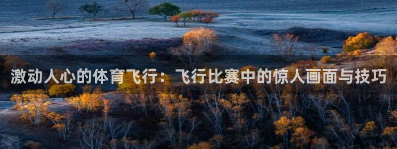 激动人心的体育飞行：飞行比赛中的惊人画面与技巧