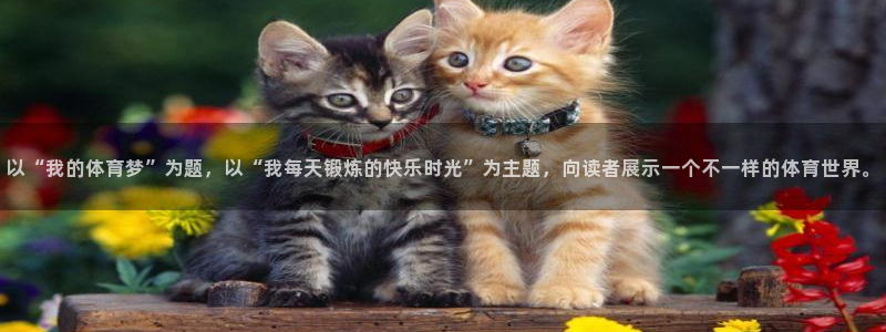 以“我的体育梦”为题，以“我每天锻炼的快乐时光”为主题，向读者展示一个不一样的体育世界。