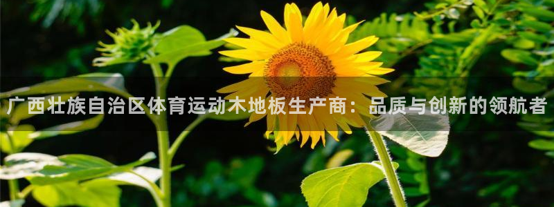 广西壮族自治区体育运动木地板生产商：品质与创新的领航者